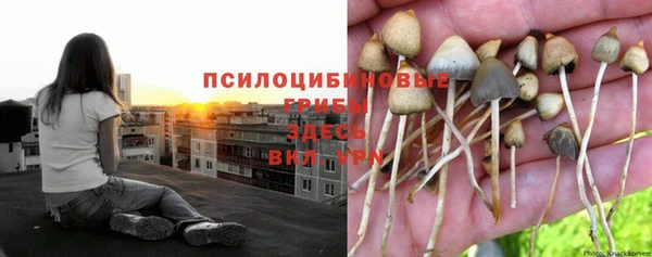 хмурый Тында