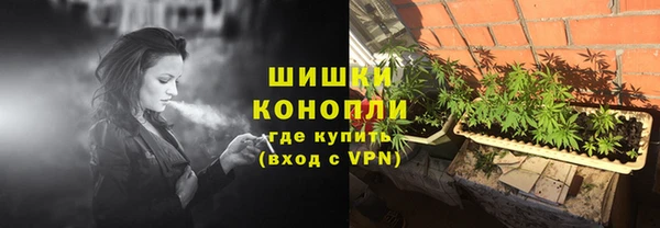 соль ск Осинники