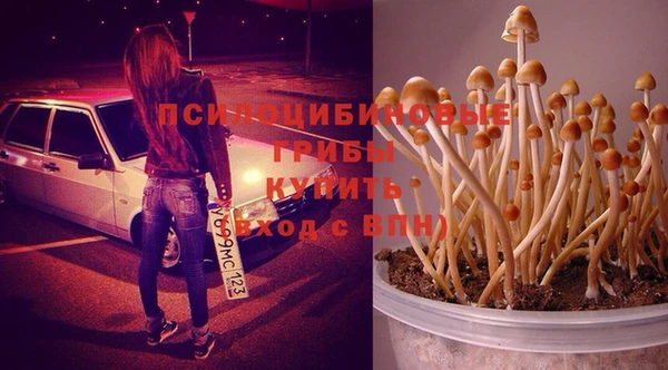 мдпв Няндома