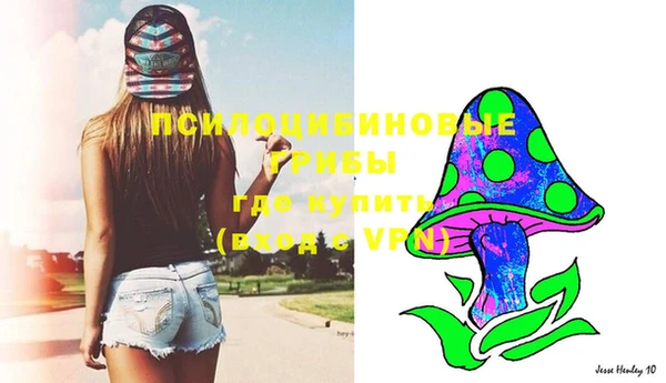 мдпв Няндома