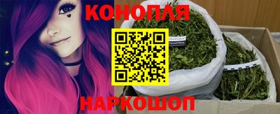 МДПВ Гатчина