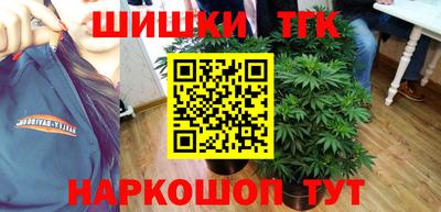 МДПВ Гатчина