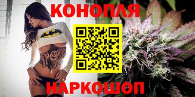 МДПВ Гатчина