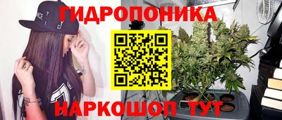 твердый Гай