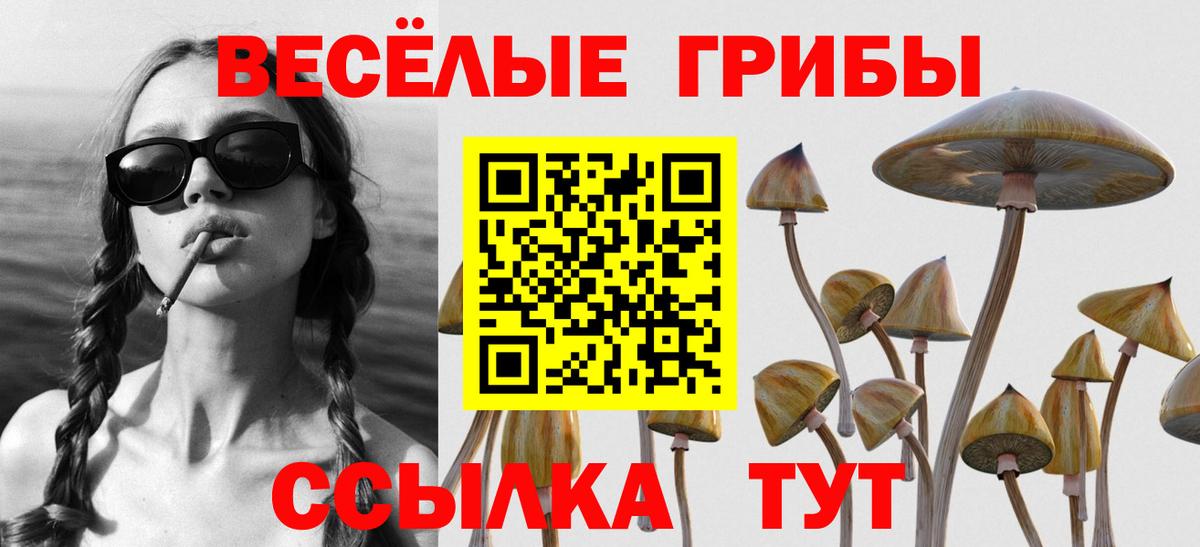 Галлюциногенные грибы Cubensis Красноперекопск